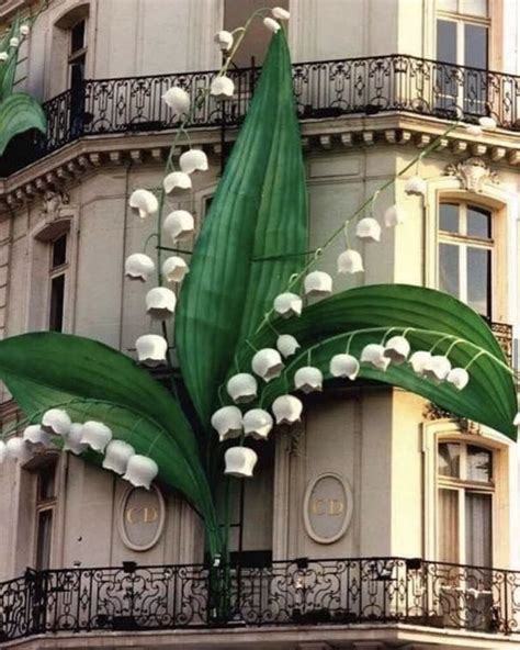 lily of the valley dior